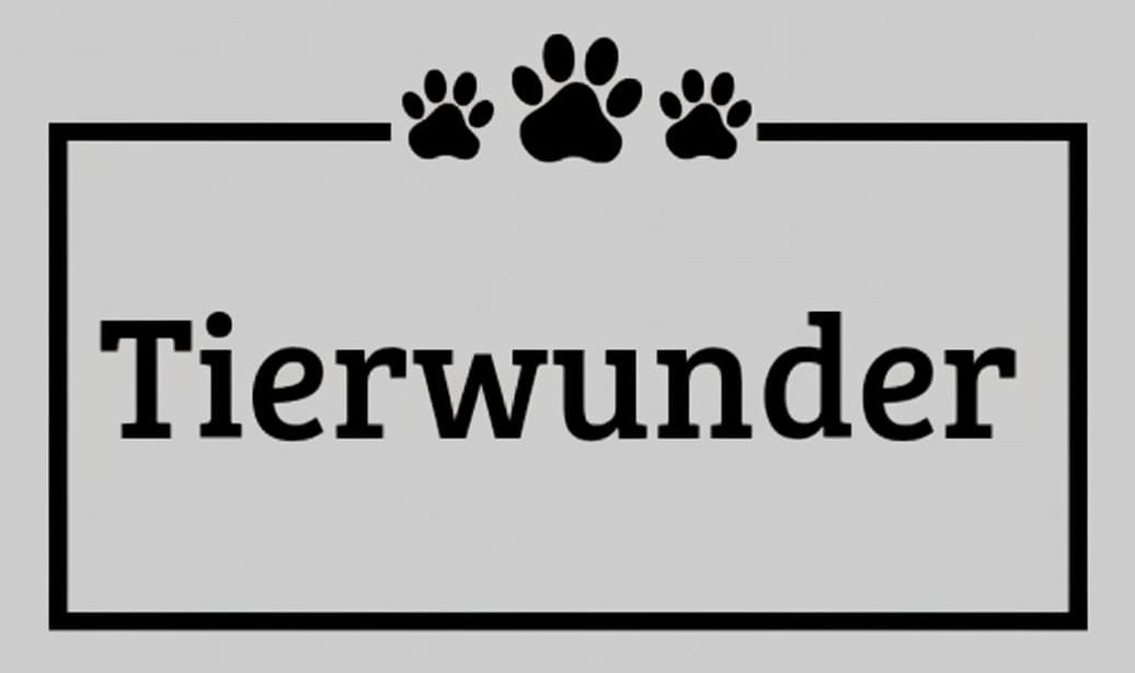 Tierwunder