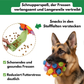 Schnupperball: Interaktiver Intelligenzspaß
