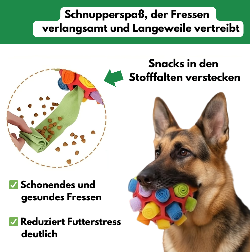 Schnupperball: Interaktiver Intelligenzspaß