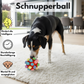 Schnupperball: Interaktiver Intelligenzspaß