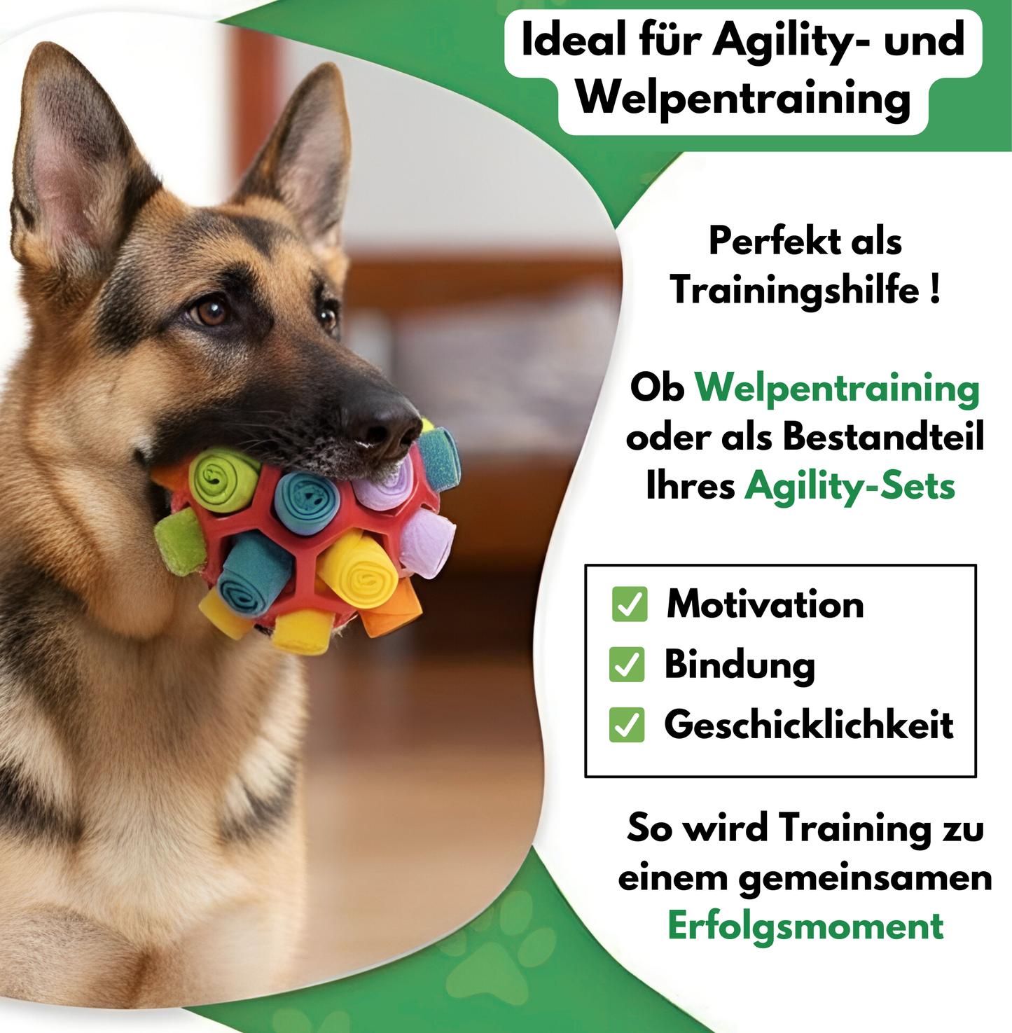 Schnupperball: Interaktiver Intelligenzspaß